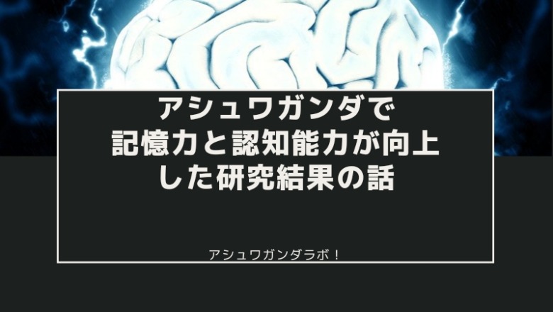 【サプリ】アシュワガンダで記憶力と認知能力が向上した研究結果の話【短期記憶・長期記憶が両方アップ】