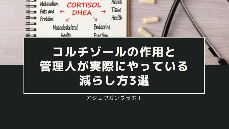 Cómo funciona el cortisol y las tres formas en que los directivos intentan reducirlo.