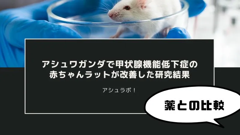 [O estudo mostra que o ashwagandha melhorou os sintomas em ratos bebés com hipotiroidismo.