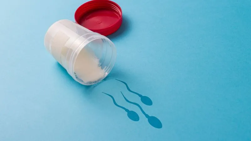 Ashwagandha verbessert dramatisch die Spermienqualität bei unfruchtbaren Männern - Erstaunliche Studie!